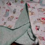 Custom Minky Baby Blanket - Spotted Owl And Sage..