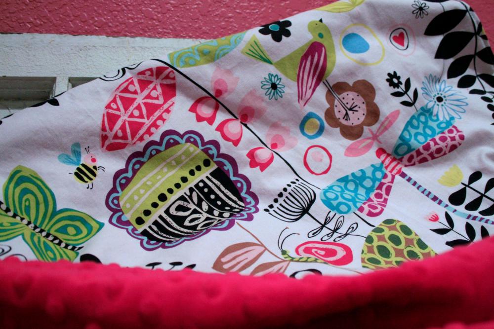 Minky Baby Blanket - June Bug With Red Minky For Your Baby Girl - Personalization Available- Made To Order